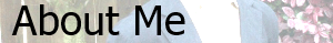 aboutmebanner2